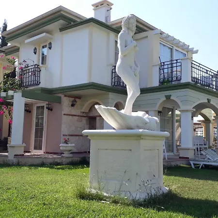 Villa Villacarli - Blueberry *
